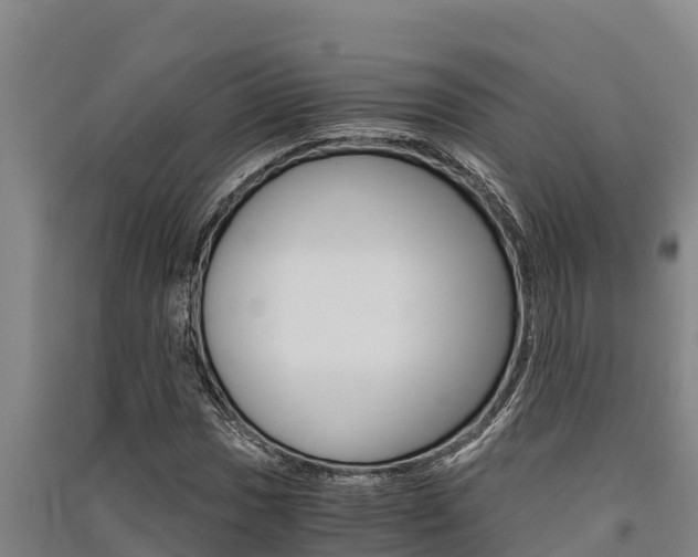 X0000091521017200708171005