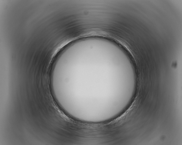 X0000091521018200708171005