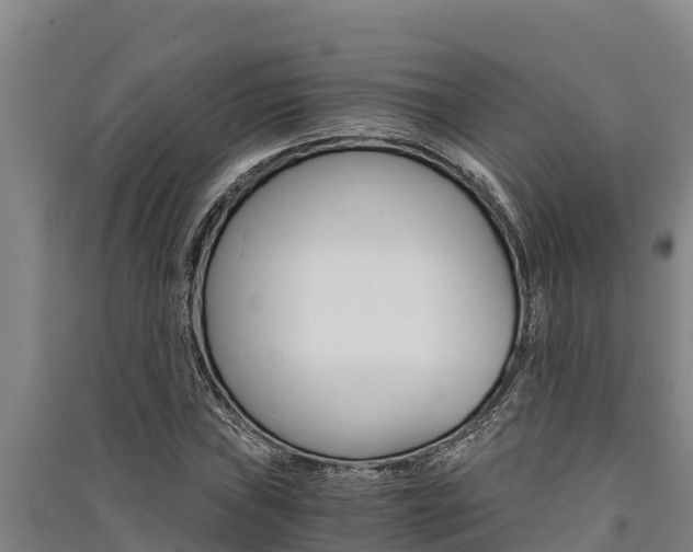 X0000091521019200708171005