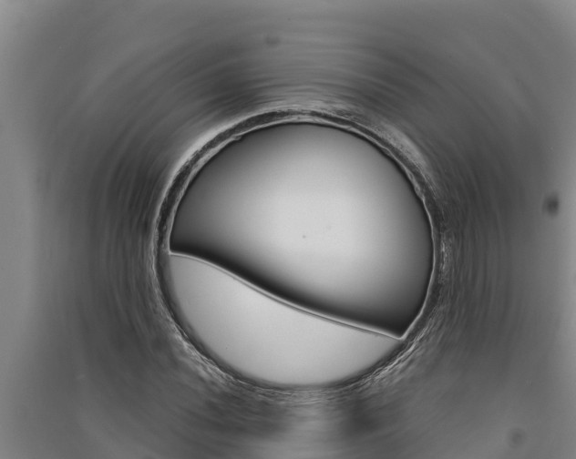 X0000091521020200708171005