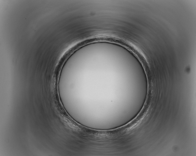 X0000091521021200708171005
