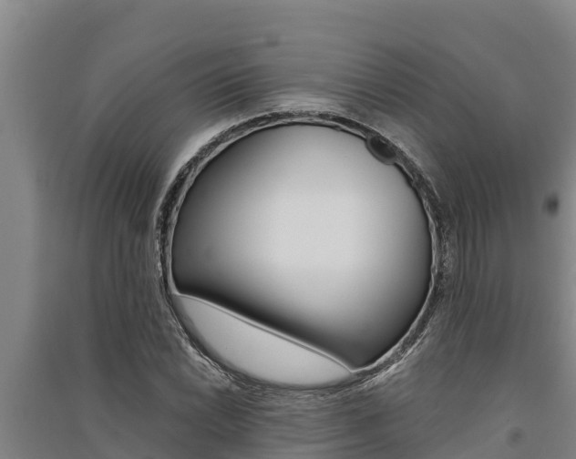 X0000091521022200708171005