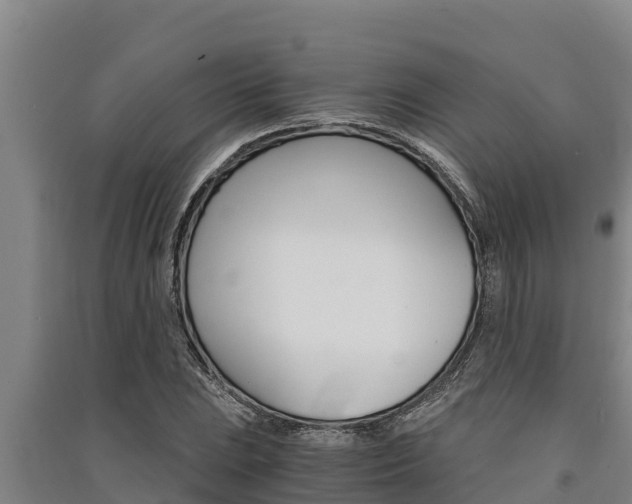 X0000091521023200708171005