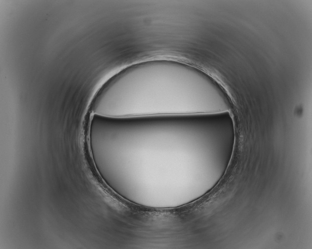 X0000091521024200708171005