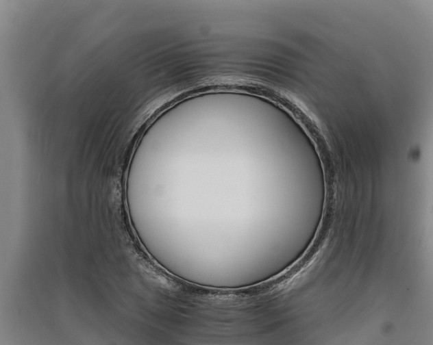 X0000091521025200708171005
