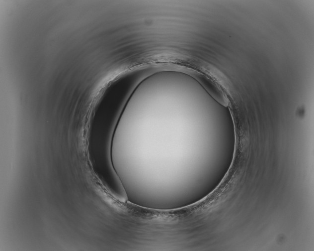 X0000091521026200708171005