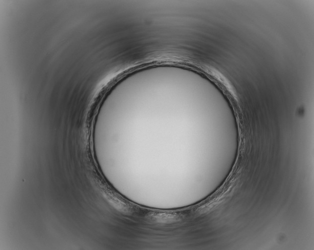 X0000091521027200708171005