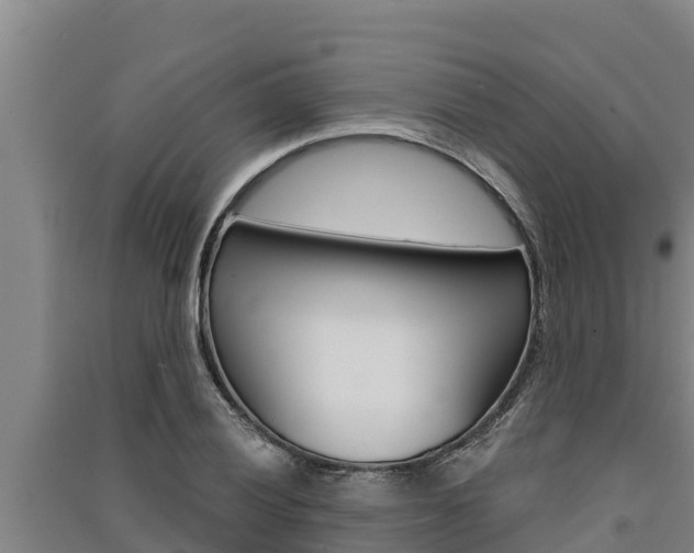 X0000091521028200708171005