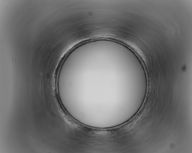 X0000091521031200708171006