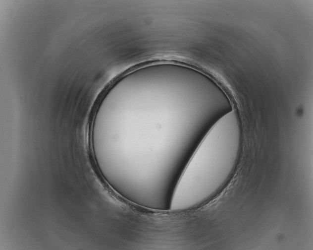 X0000091521032200708171006