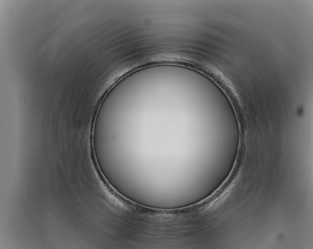 X0000091521033200708171006