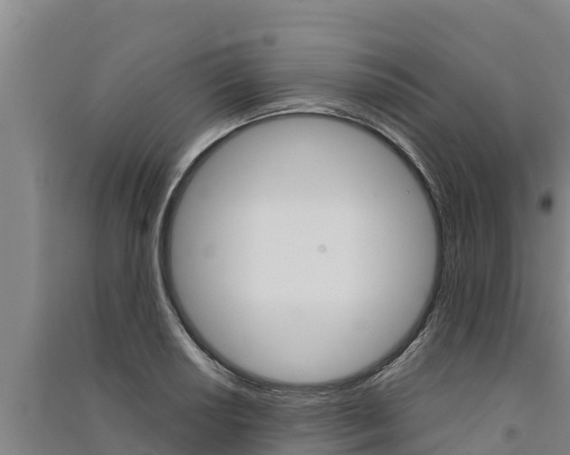 X0000091521034200708171006