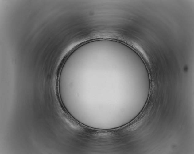 X0000091521035200708171006