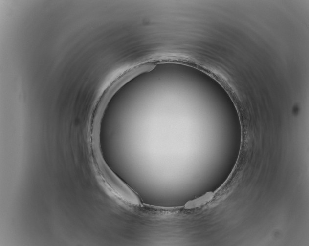 X0000091521038200708171006