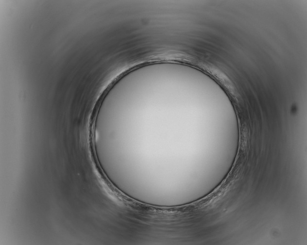 X0000091521039200708171006