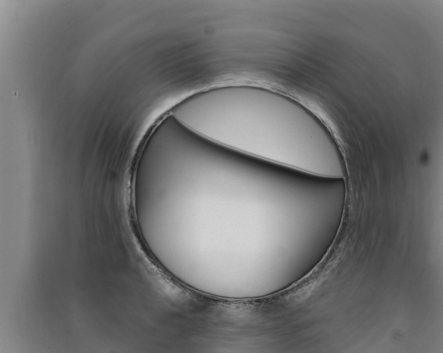 X0000091521040200708171006