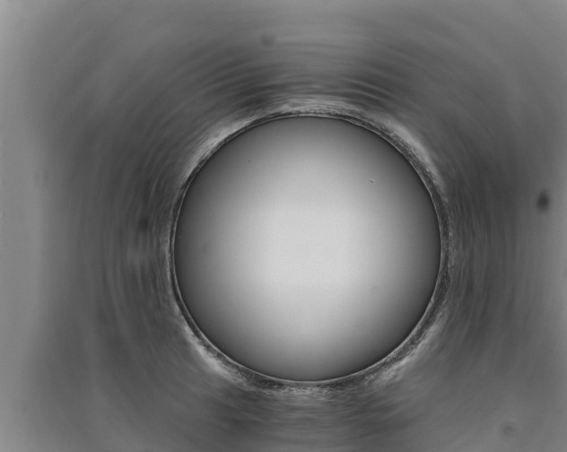X0000091521041200708171006