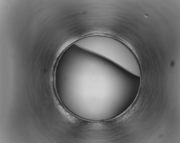 X0000091521042200708171006