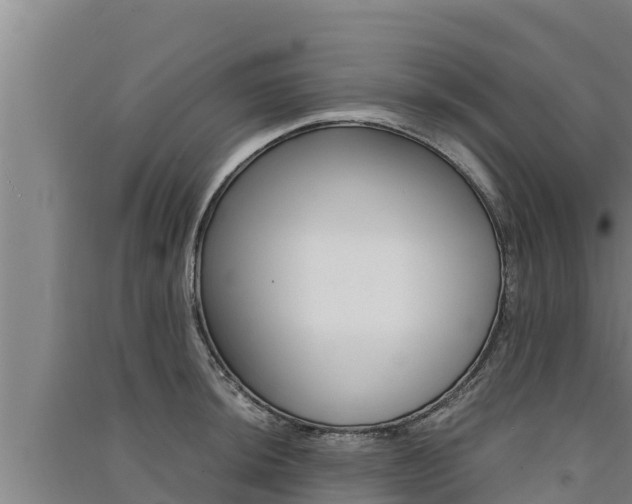 X0000091521044200708171006