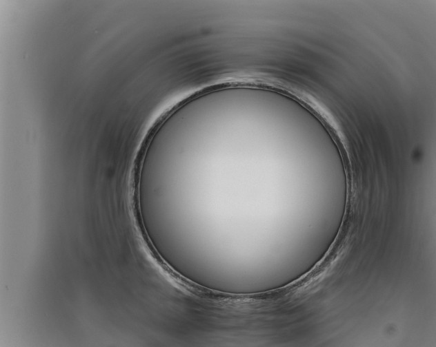 X0000091521045200708171006