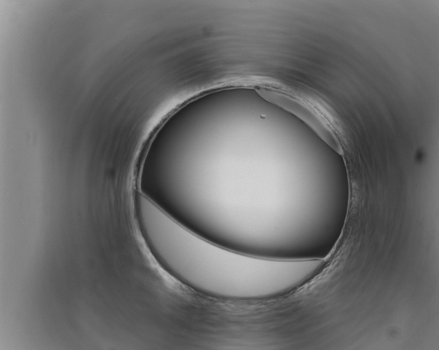 X0000091521046200708171006