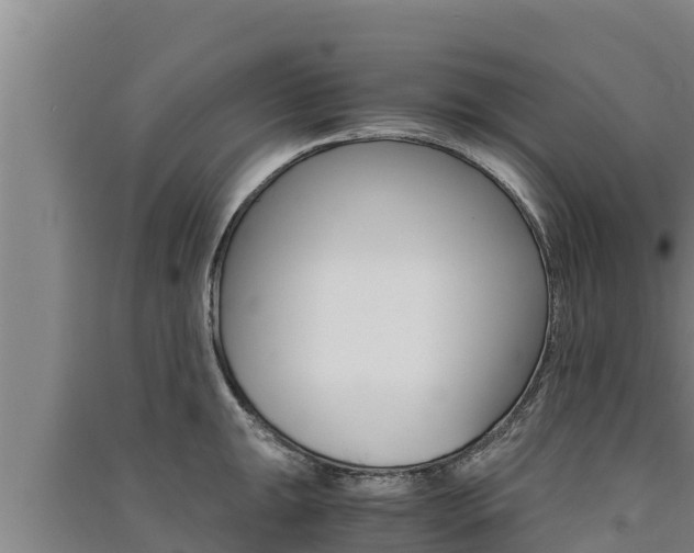X0000091521047200708171006