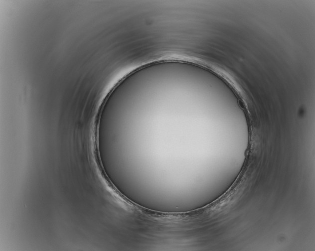 X0000091521048200708171006