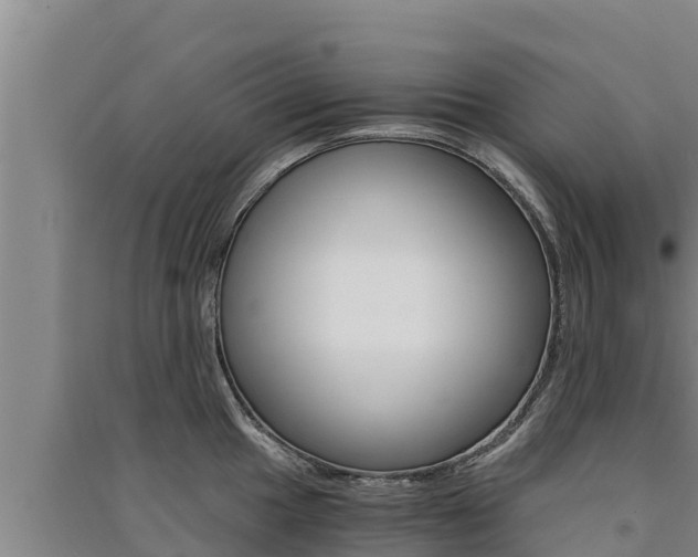 X0000091521049200708171006