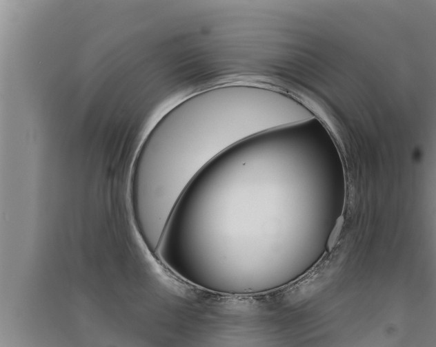 X0000091521050200708171006