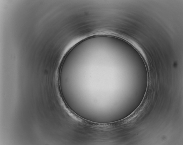 X0000091521053200708171006
