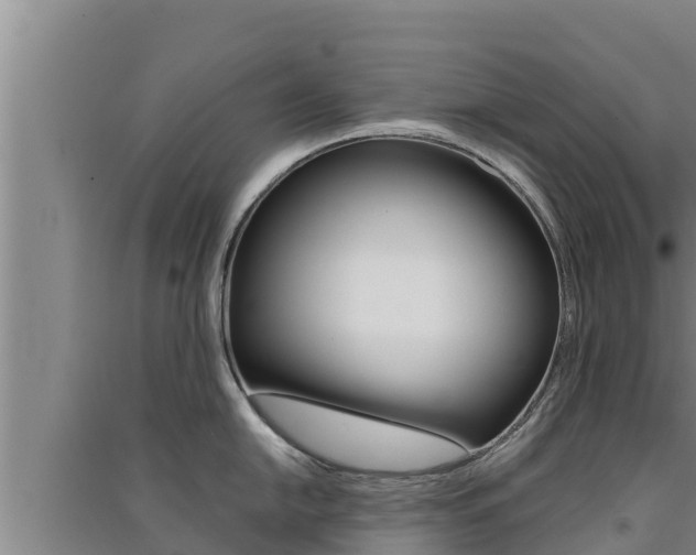 X0000091521054200708171006
