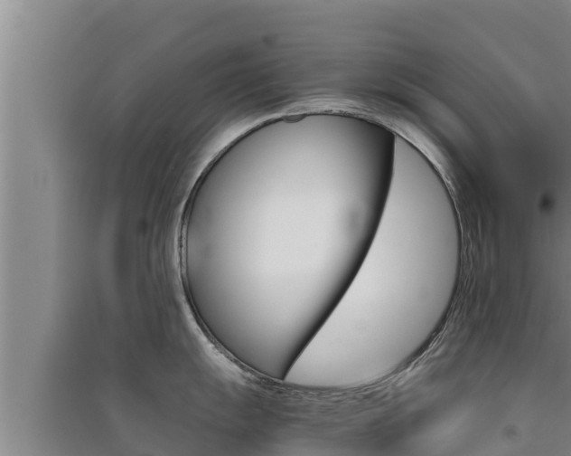X0000091521055200708171006