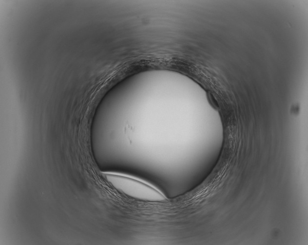 X0000091521057200708171005