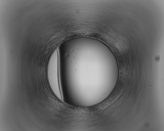 X0000091521058200708171005
