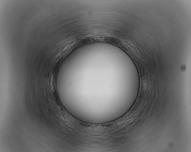X0000091521060200708171005