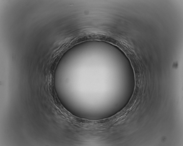 X0000091521061200708171005