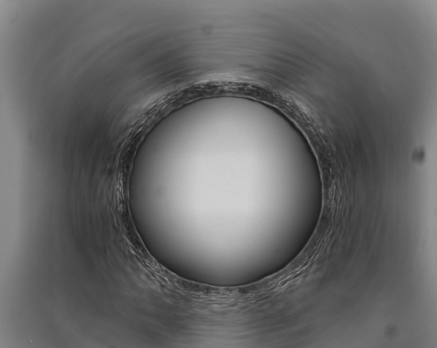X0000091521062200708171005