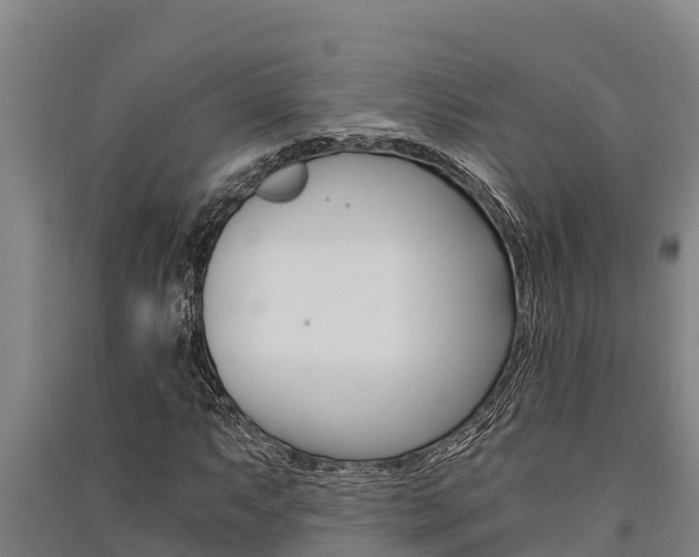 X0000091521063200708171005