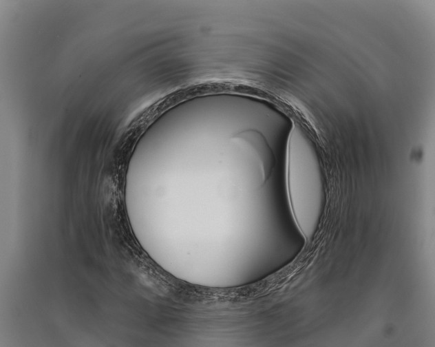 X0000091521064200708171005