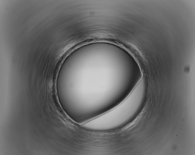 X0000091521065200708171005