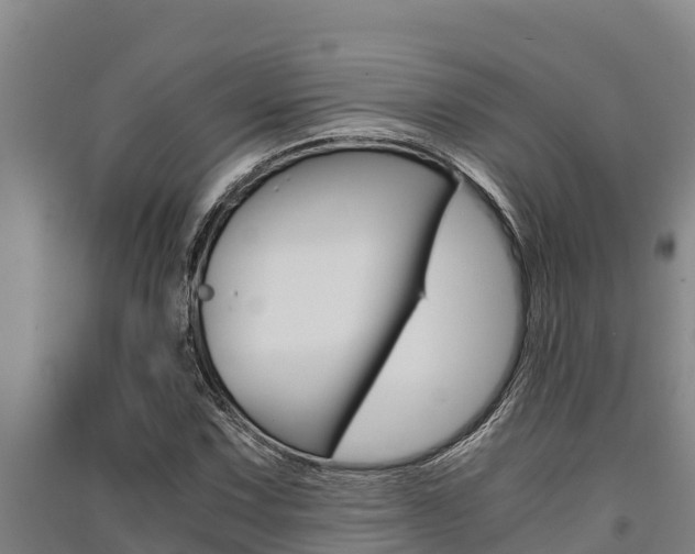 X0000091521067200708171005