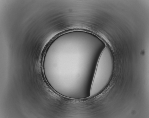 X0000091521068200708171005