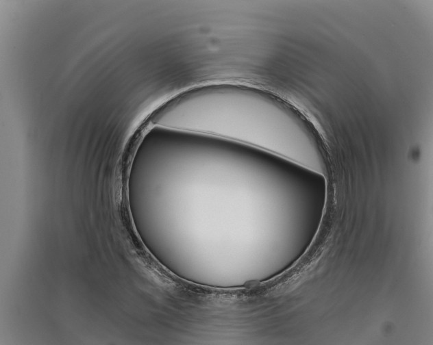 X0000091521069200708171005