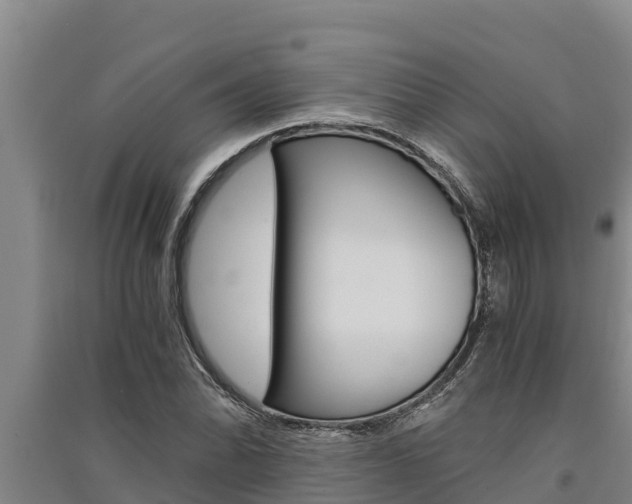 X0000091521070200708171005