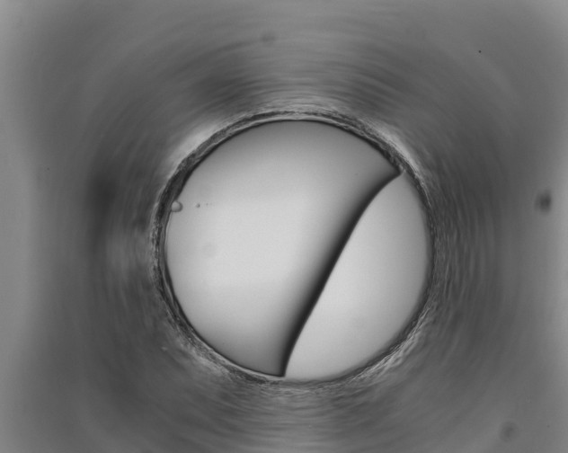 X0000091521071200708171005