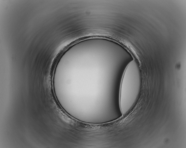 X0000091521072200708171005