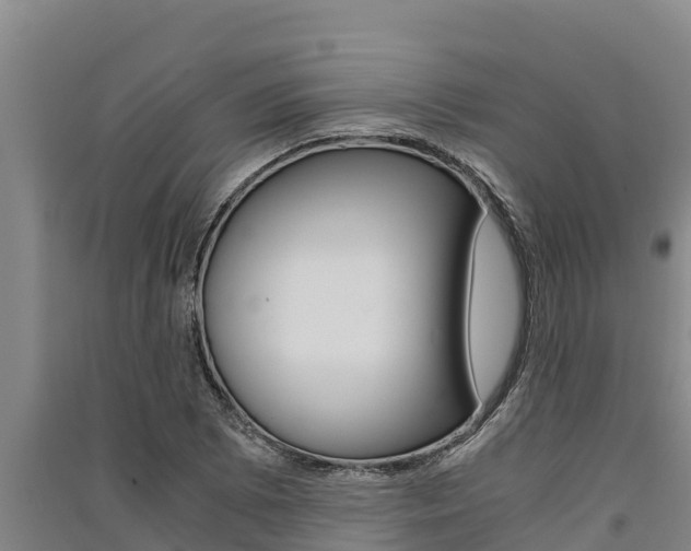 X0000091521073200708171005
