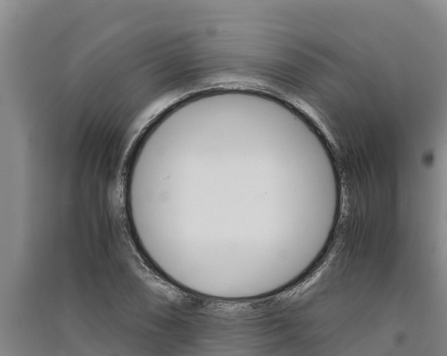 X0000091521074200708171005