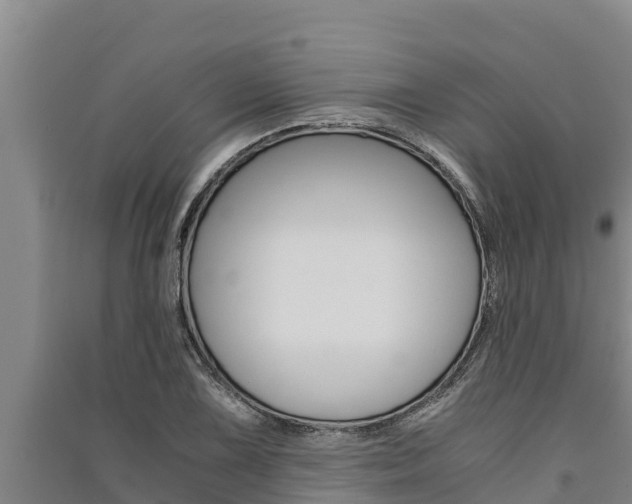 X0000091521075200708171005