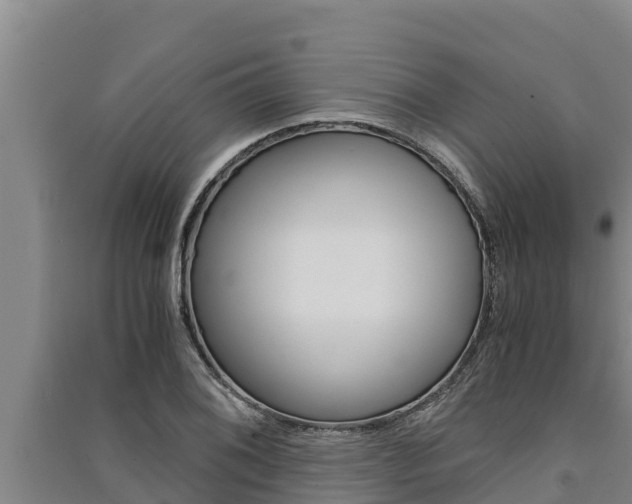 X0000091521076200708171005